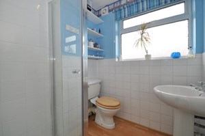 Photo6- click for photo gallery